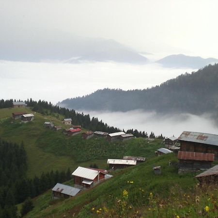 Ayder Hasimoglu Hotel Exterior photo